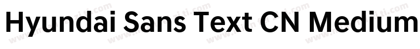 Hyundai Sans Text CN Medium字体转换